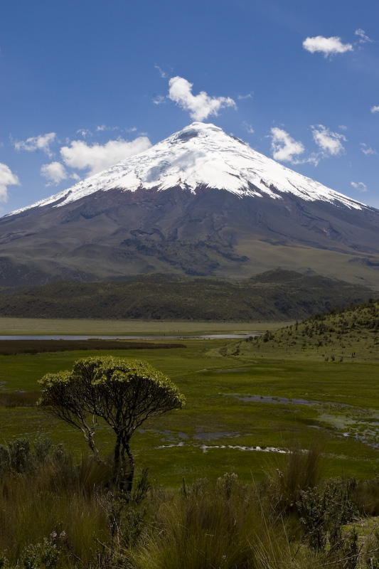 Cotopaxi